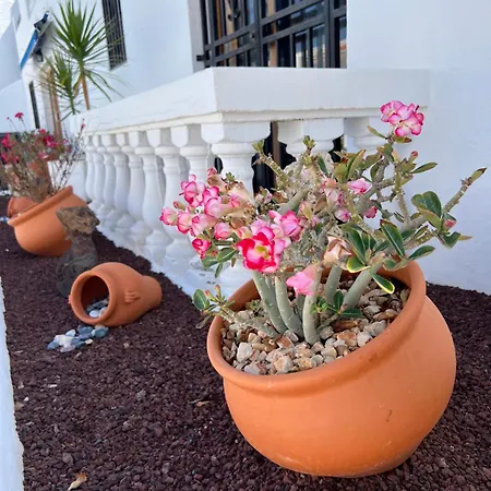 Vlasta Port Royal Cristianos Lägenhet *